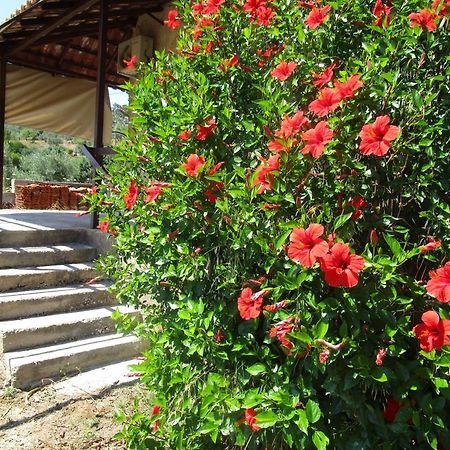 Affittacamere Countryside House Perachora Esterno foto
