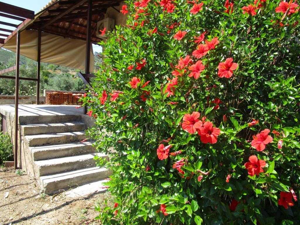 Affittacamere Countryside House Perachora Esterno foto